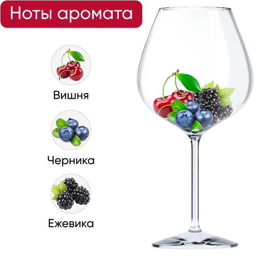 Вино BOURGOGNE PINOT NOIR PIERRE NEROL выдержанное сортовое красное сухое, 0.75л, фото
