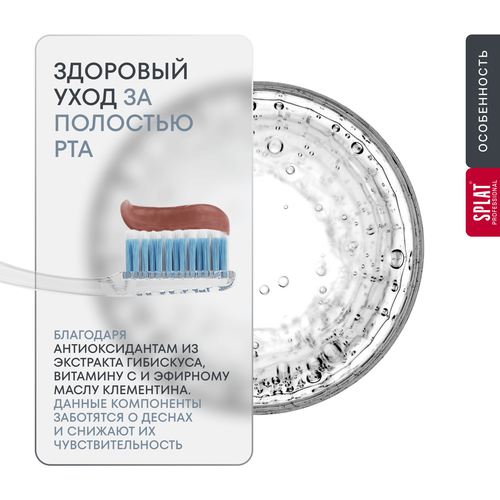 Зубная паста SPLAT Здоровые десны профессиональная, 100мл, изображение