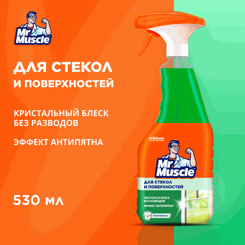 Средство для стекол и поверхностей MR MUSCLE Утренняя роса, 530мл, фото
