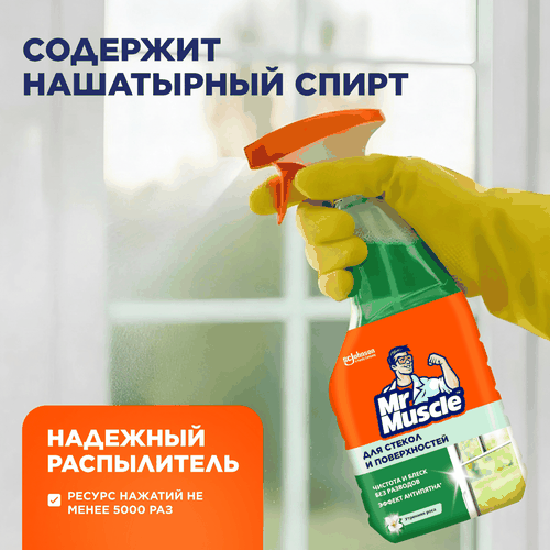 Средство для стекол и поверхностей MR MUSCLE Утренняя роса, 530мл, вид