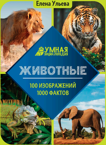 Книга ФЕНИКС Энциклопедия для подростков, в ассортименте, вид