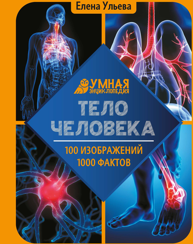 Книга ФЕНИКС Энциклопедия для подростков, в ассортименте, изображение