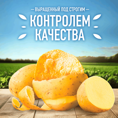 Чипсы картофельные LAY'S Бекон, 70г, крупный план