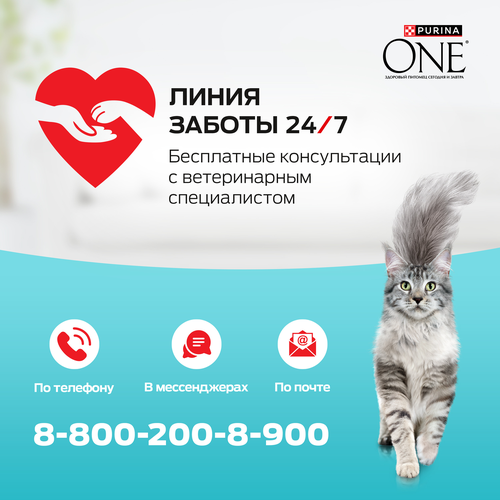 Корм сухой для кошек PURINA ONE Лосось, для стерилизованных, 3кг, вид