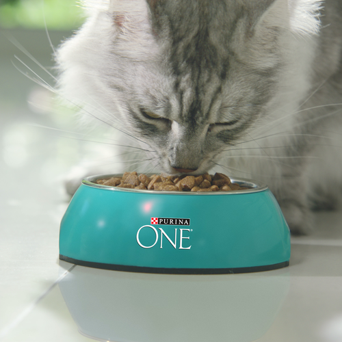Корм сухой для кошек PURINA ONE Лосось, для стерилизованных, 3кг, изображение