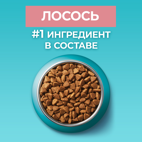 Корм сухой для кошек PURINA ONE Лосось, для стерилизованных, 3кг, детальное фото