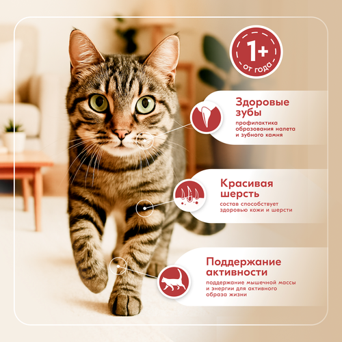 Корм консервированный для кошек L’AMOUR с курицей в соусе, 75г, картинка