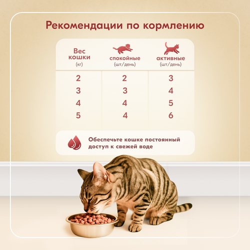 Корм консервированный для кошек L’AMOUR с курицей в соусе, 75г, крупный план
