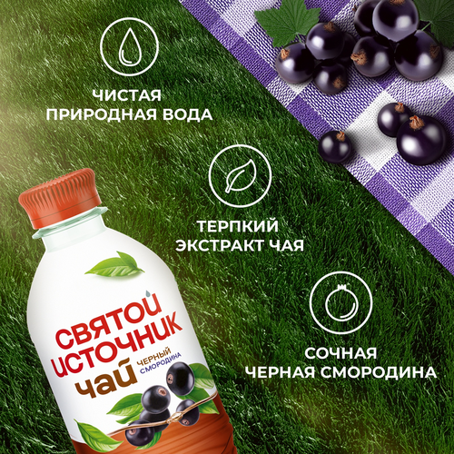 Чай холодный черный СВЯТОЙ ИСТОЧНИК Смородина, 0.5л, вид