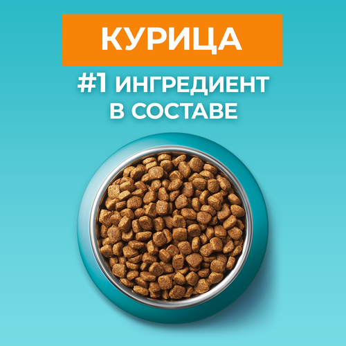 Корм сухой для кошек PURINA ONE Курица, для стерилизованных, 3кг, изображение