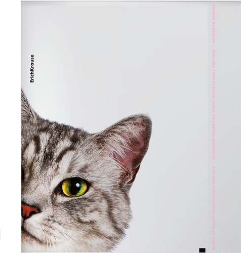 Набор обложек для тетрадей и дневников ERICHKRAUSE Hiding cats, 21,2х34,7см, в ассортименте, Арт. 61128, изображение