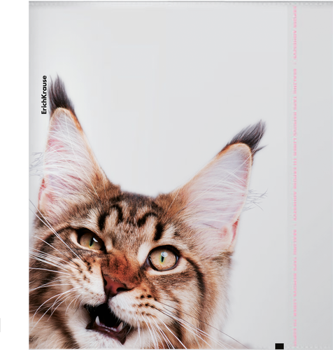 Набор обложек для тетрадей и дневников ERICHKRAUSE Hiding cats, 21,2х34,7см, в ассортименте, Арт. 61128, фотография
