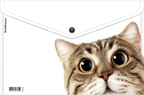 Папка ERICHKRAUSE Hiding cats, A4, пластиковая, на кнопке, в ассортименте, Арт. 61155, фото