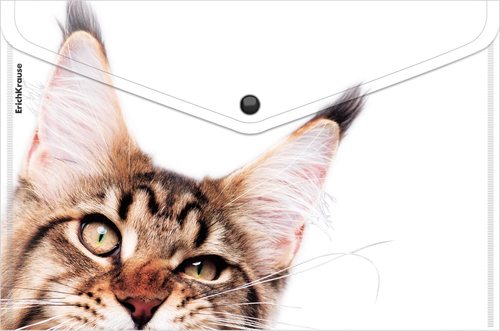 Папка ERICHKRAUSE Hiding cats, A4, пластиковая, на кнопке, в ассортименте, Арт. 61155, детальное фото