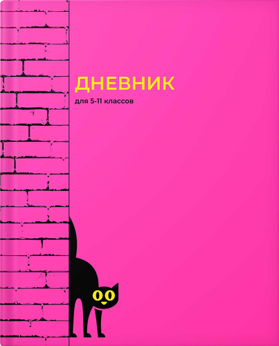 Дневник для старшей школы ACADEMY STYLE, Арт. 14542/5/6,14516/22, вид