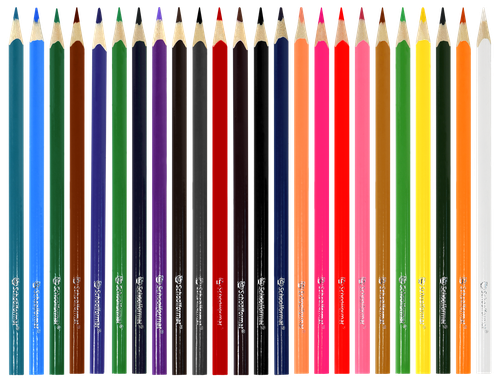 Карандаши цветные SCHOOLFORMAT Дикая планета, 24 цвета, трехгранные, Арт. КЦ24-ДП, крупный план