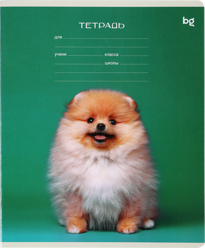 Тетрадь BG Кошечки-Собачки, 18 листов, в клетку, Арт. 370555, вид