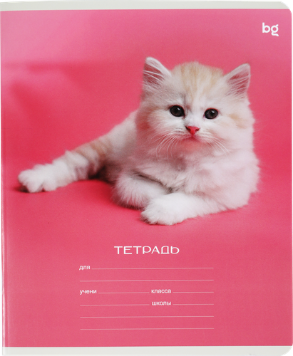 Тетрадь BG Кошечки-Собачки, 18 листов, в клетку, Арт. 370555, изображение