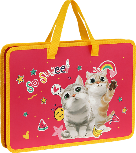 Папка ARTSPACE Sweet cats, А4, пластик, на молнии, с ручками, Арт. 350246, изображение