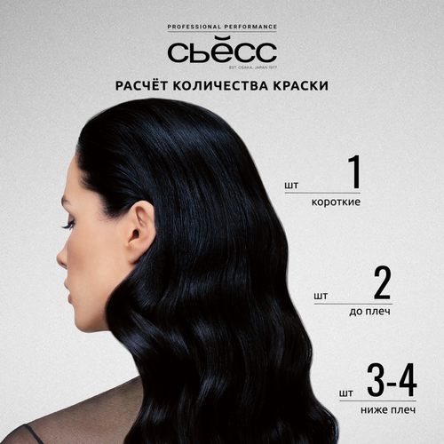 Краска для волос СЬЁСС Color 1–4 Иссиня-черный, 115мл, картинка