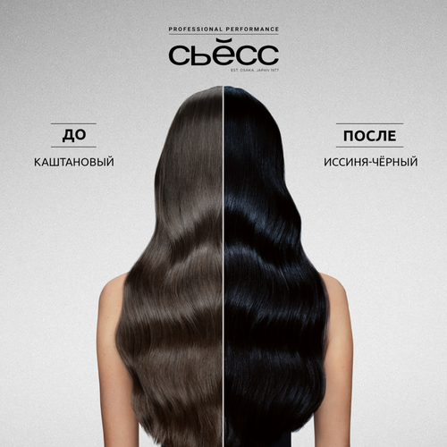 Краска для волос СЬЁСС Color 1–4 Иссиня-черный, 115мл, изображение