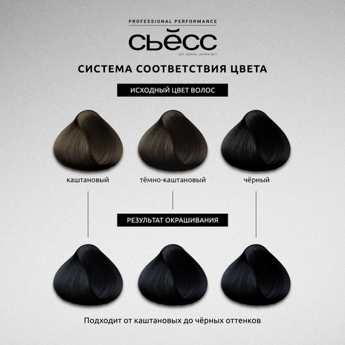 Краска для волос СЬЁСС Color 1–4 Иссиня-черный, 115мл, фотография