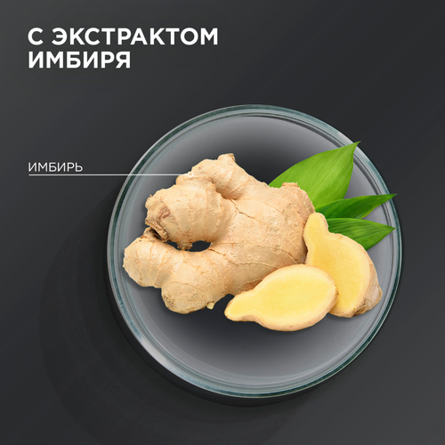 Шампунь ШАУМА MEN Интенсивный против перхоти, 650мл, фотография
