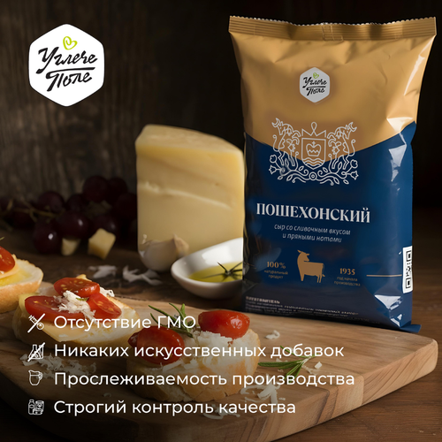 Сыр УГЛЕЧЕ ПОЛЕ Пошехонский 45%, без змж, 200г, вид