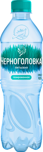 Вода питьевая ЧЕРНОГОЛОВСКАЯ газированная, 0.5л, вид