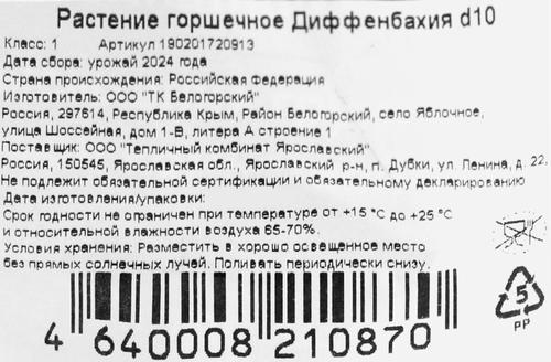 Растение горшечное Диффенбахия d=10см, вид