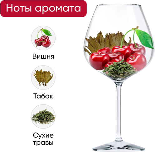 Вино PUENTE DE PIEDRA Syrah-Malbec ординарное красное сухое, 1.5л, изображение