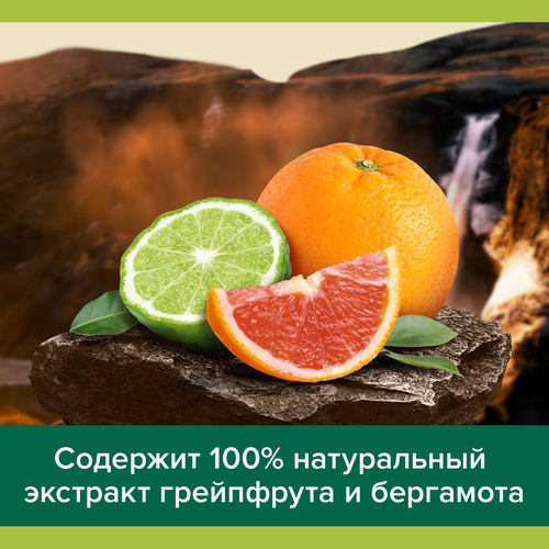 Гель для душа PALMOLIVE Men Цитрусовый заряд Бодрящий, 500мл, картинка