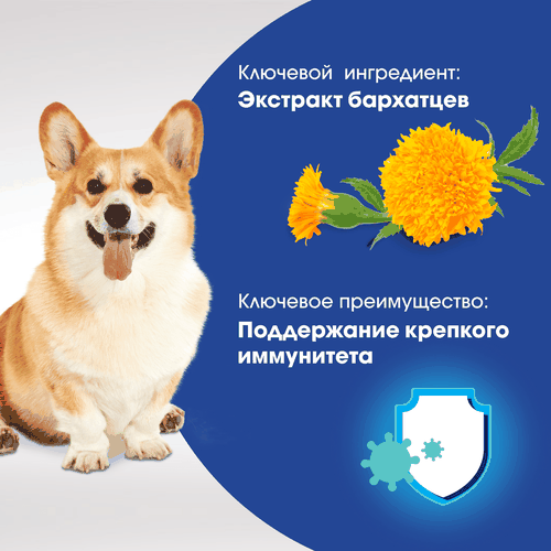 Лакомство для собак PERFECT FIT Для поддержания иммунитета, с говядиной и добавлением экстракта бархатцев, 90Г, фото