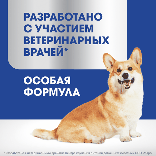 Лакомство для собак PERFECT FIT Для поддержания иммунитета, с говядиной и добавлением экстракта бархатцев, 90Г, фотография