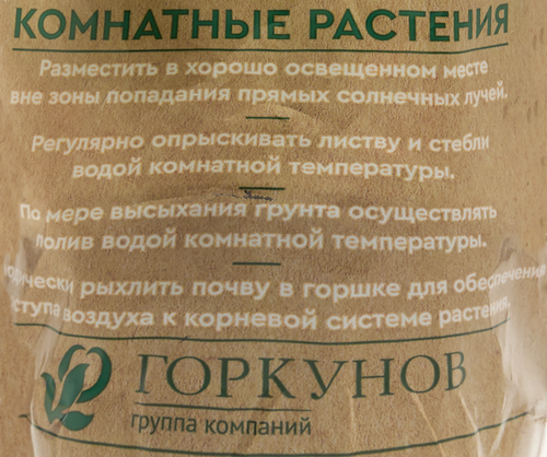 Растение горшечное Кодиеум микс, изображение