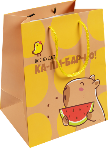 Пакет Капибара 25х22х12см, Арт. 3333232, вид