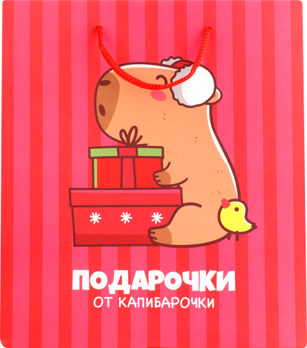 Пакет Капибара 25х22х12см, Арт. 3333232, картинка