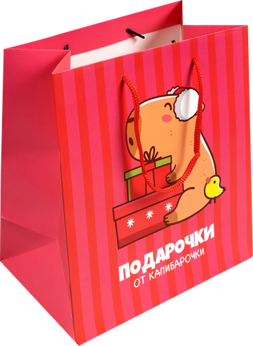 Пакет Капибара 25х22х12см, Арт. 3333232, фотография
