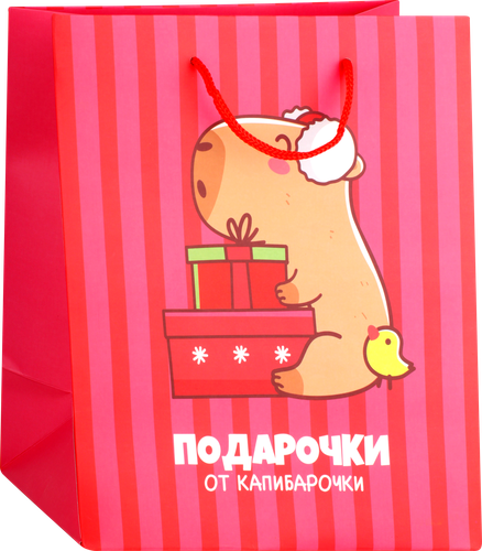 Пакет Капибара 25х22х12см, Арт. 3333232, фото