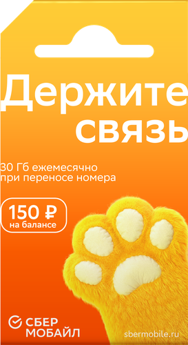 Сим-карта СБЕРМОБАЙЛ Баланс 150 рублей, крупный план