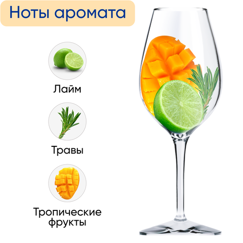 Вино CANA Центральная Долина белое сухое, 0.187л, вид