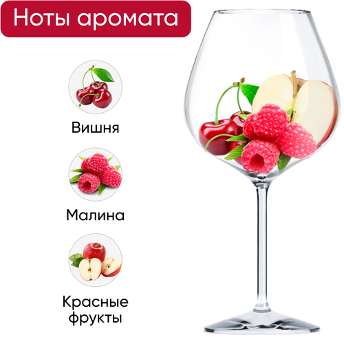 Вино CANA Центральная Долина красное сухое, 0.187л, фотография