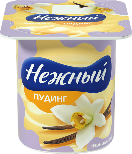 Пудинг НЕЖНЫЙ Ванильный 2,8%, без змж, 100г, фотография