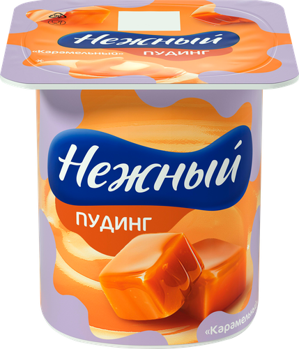 Пудинг НЕЖНЫЙ Карамельный 2,8%, без змж, 100г, детальное фото