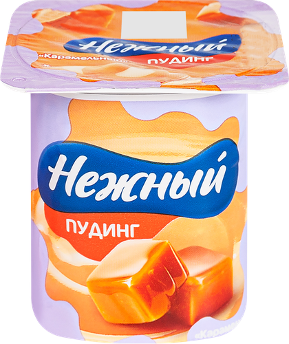 Пудинг НЕЖНЫЙ Карамельный 2,8%, без змж, 100г, крупный план