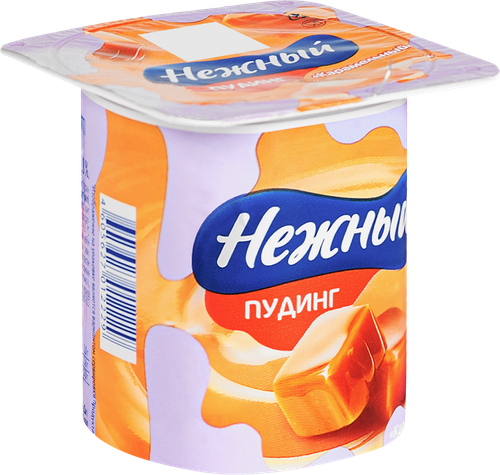 Пудинг НЕЖНЫЙ Карамельный 2,8%, без змж, 100г, фотография