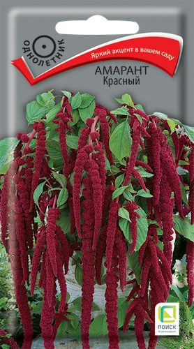 Семена ПОИСК Амарант Красный, 0,1г, вид