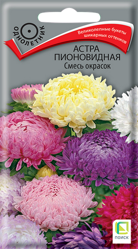 Семена ПОИСК Астра пионовидная, смесь, 0,3г, вид