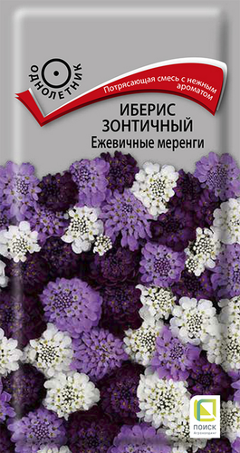 Семена ПОИСК Иберис зонтичный Ежевичные меренги, 0,1г, фотография