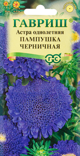 Семена ГАВРИШ Астра помпонная однолетняя Пампушка черничная, Арт. 10006543, 0,3г, фотография